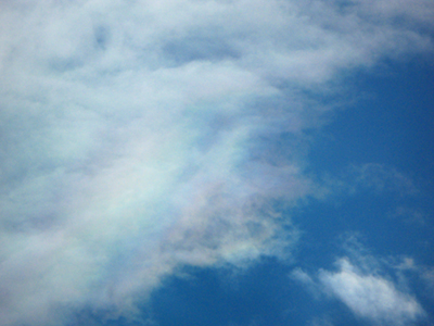 Image Concealment Films - MH Studios